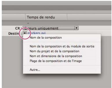 ADOBE AFTER EFFECTS CS5 - Définition des noms et des emplacements des fichiers pour le rendu - 1