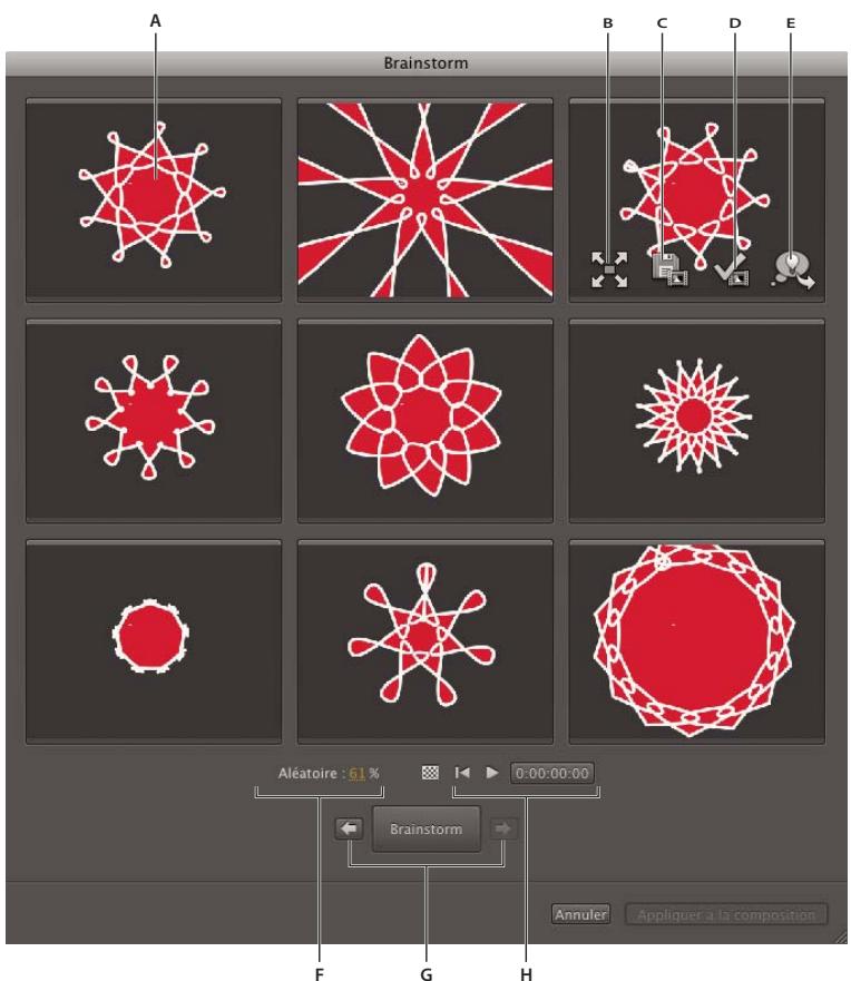 ADOBE AFTER EFFECTS CS5 - Utilisation de l'option Brainstorm pour se familiariser avec les paramètres - 1