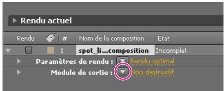 ADOBE AFTER EFFECTS CS5 - Modules de sortie et paramètres des modules de sortie - 1