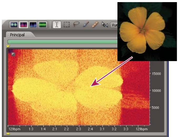 ADOBE AUDITION 3 - Importer une image bitmap en tant que données audio - 1