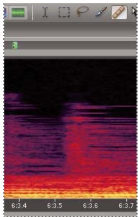 ADOBE AUDITION 3 - Sélection et correction automatique d'artefacts - 2