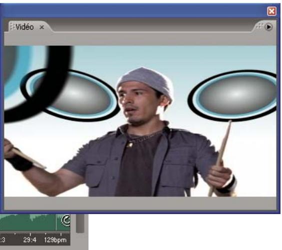 ADOBE AUDITION 3 - Présentation du panneau Video - 3