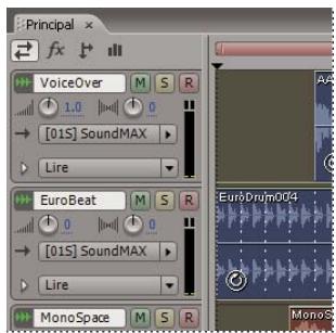 ADOBE AUDITION 3 - Attribution d'un nom à chaque piste et déplacement de pistes - 3