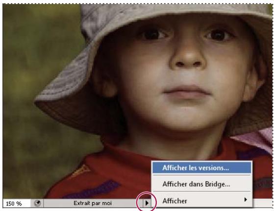 ADOBE BRIDGE - Affichage d'informations dans Version Cue - 1