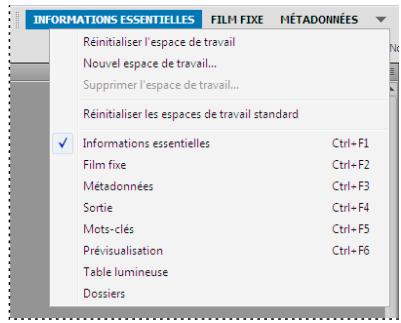 ADOBE BRIDGE - Sélectionner un espace de travail - 2