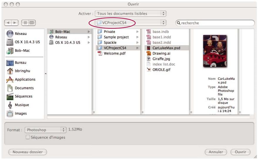 ADOBE BRIDGE - A propos d'Adobe Drive - 2