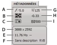ADOBE BRIDGE - Afficher ou masquer le résumé des métadonnées - 1