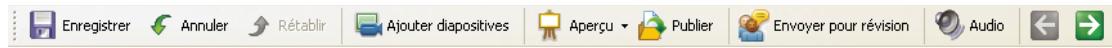 ADOBE CAPTIVATE 4 - Affichage Modifier - 1