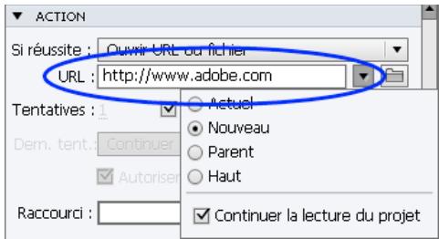 ADOBE CAPTIVATE 6 - Navigation dans un projet à l'aide des objets interactifs - 1