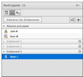 ADOBE CONNECT 8 - Définition d'ateliers et affectation de membres - 2