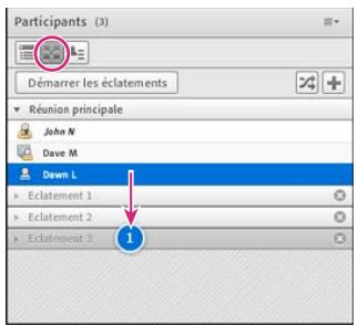 ADOBE CONNECT 8 - Définition d'ateliers et affectation de membres - 1