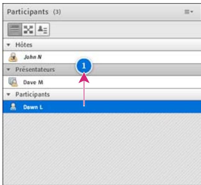 ADOBE CONNECT 8 - Modification du role d'un participant - 1