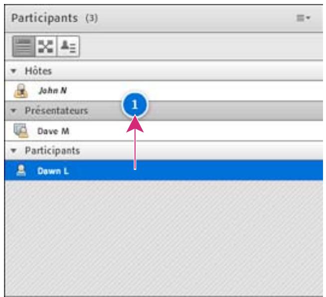 ADOBE CONNECT 9 - Modification du rôle d'un participant - 2