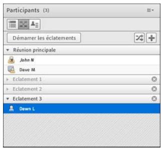 ADOBE CONNECT 9 - Définition d'ateliers et affectation de membres - 2