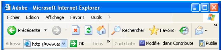 ADOBE CONTRIBUTE CS3 - Installation des modules externes (plug-ins) du navigateur sous Windows - 1