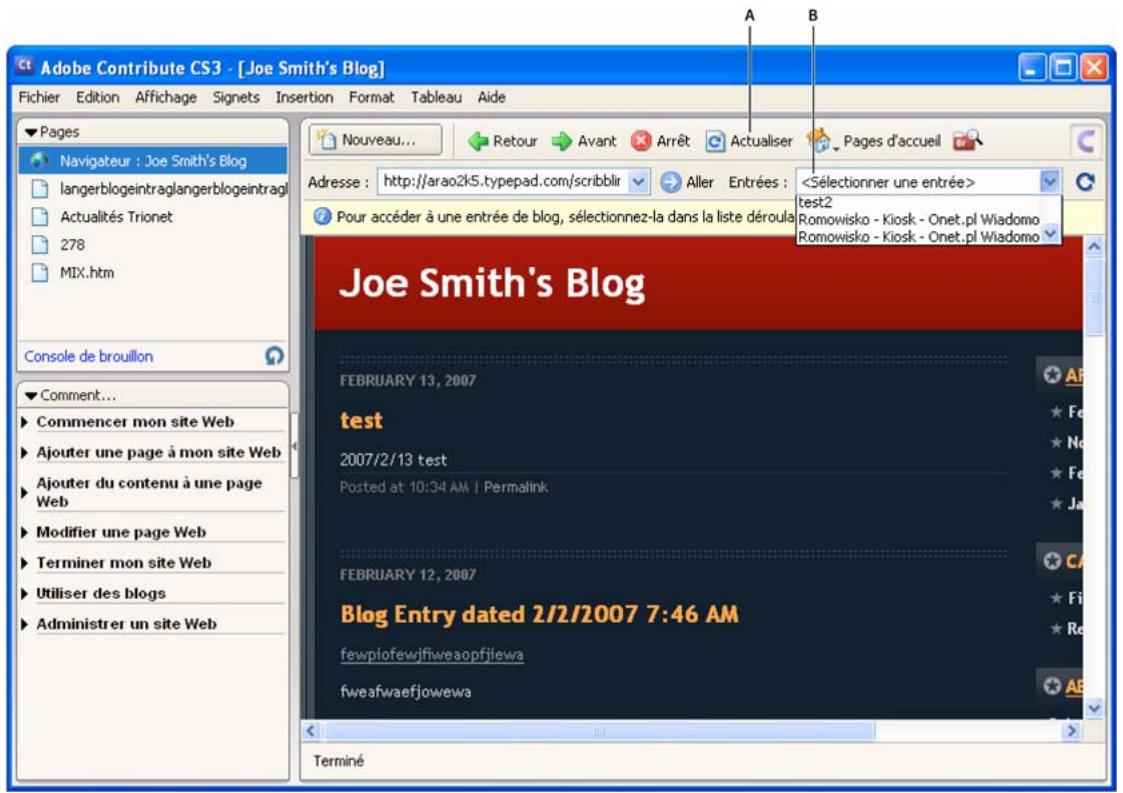 ADOBE CONTRIBUTE CS3 - Modification de pages Web et d'entrées de blog - 1
