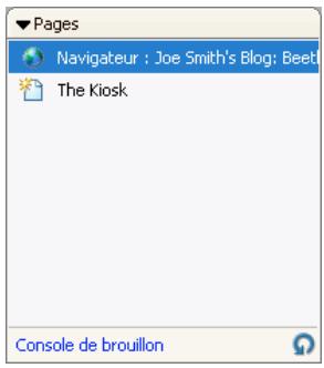 ADOBE CONTRIBUTE CS3 - Modification de pages Web et d'entrées de blog - 2