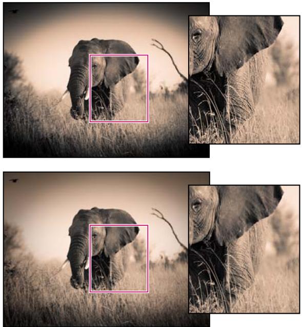 ADOBE CREATIVE SUITE CS5 - Mise à jour de la version de processus dans Camera Raw - 1