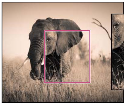 ADOBE CREATIVE SUITE CS5 - Simulation du grain du film dans Camera Raw - 1