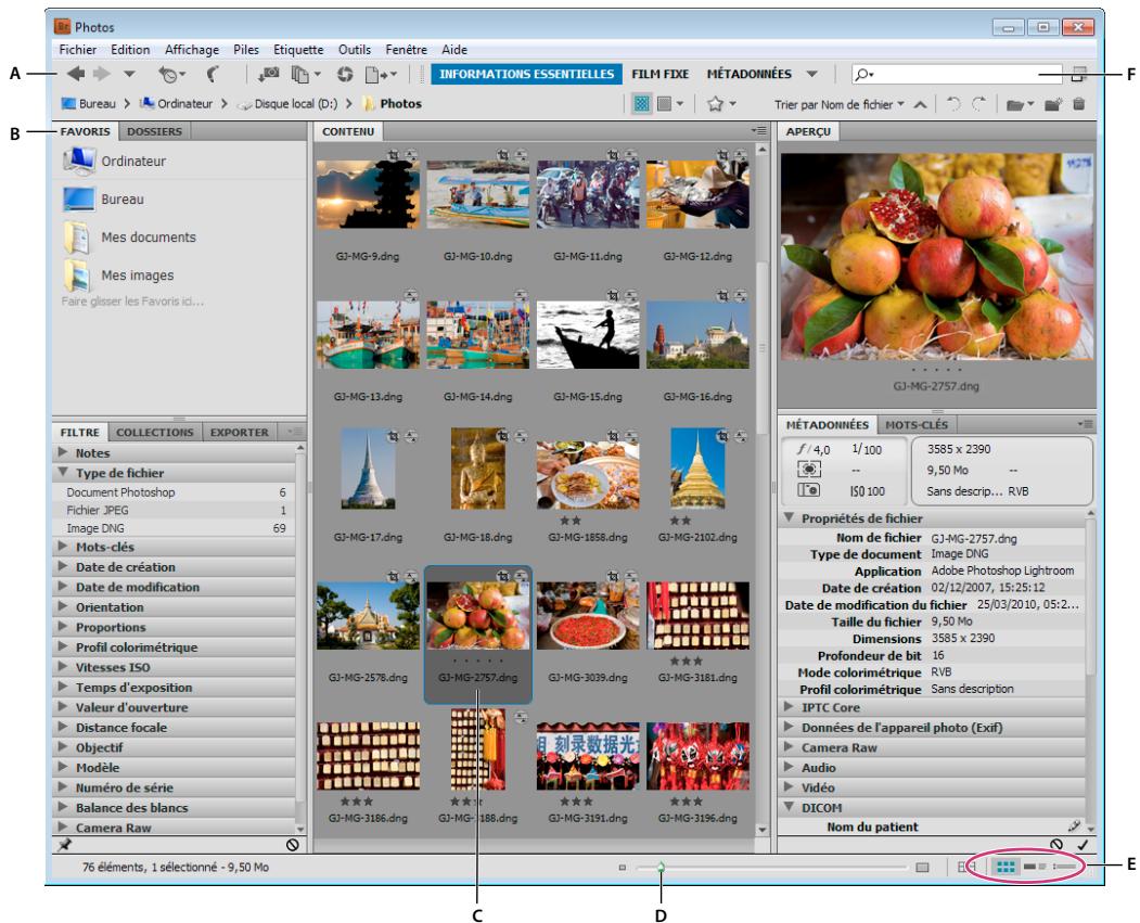 ADOBE CREATIVE SUITE CS5 - Présentation de l'espace de travail - 1