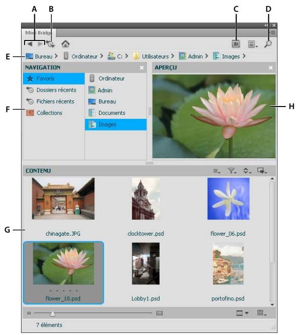ADOBE CREATIVE SUITE CS5 - Chapitre 3 : Mini Bridge - 1