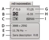 ADOBE CREATIVE SUITE CS5 - Afficher ou masquer le résumé des métadonnées - 1
