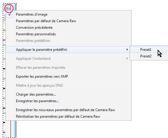 ADOBE CREATIVE SUITE CS5 - Application des paramètres Camera Raw enregistrés - 1