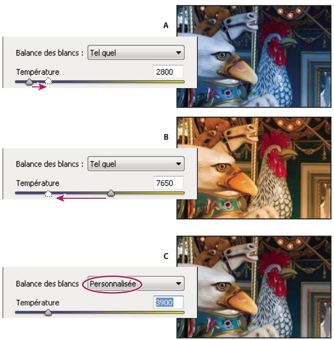 ADOBE CREATIVE SUITE CS5 - Options de balance des blancs dans Camera Raw - 1