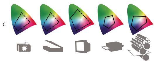 ADOBE CREATIVE SUITE CS5 - Pourquoi les couleurs ne concordent-elles pas toujours ? - 2