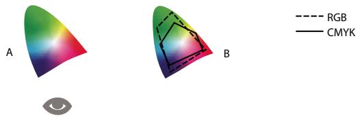 ADOBE CREATIVE SUITE CS5 - Pourquoi les couleurs ne concordent-elles pas toujours ? - 1