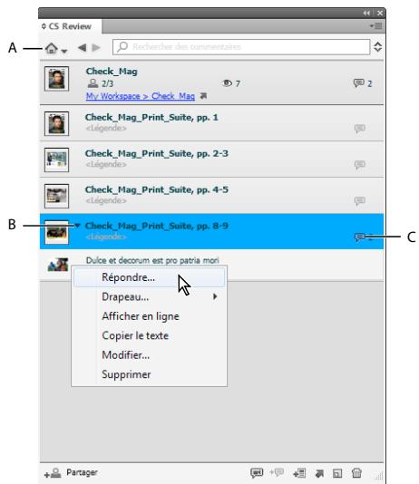 ADOBE CREATIVE SUITE CS5 - Consultation des révisions dans le panneau CS Review - 1