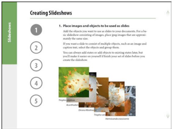 ADOBE DIGITAL PUBLISHING SUITE - Procedure de creation d'un lecteur de contenu pour folios simples - 1