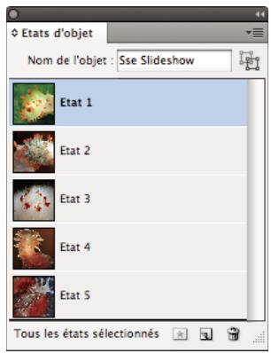 ADOBE DIGITAL PUBLISHING SUITE - Incrustations de diaporamas - 7