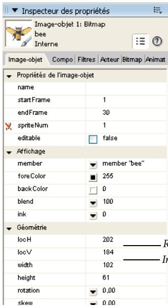 ADOBE DIRECTOR 11 - Faire pivoter ou incliner une image-objet avec l'Inspecteur des propriétés - 1