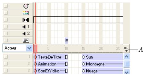 ADOBE DIRECTOR 11 - Changer le réglage du zoom - 1
