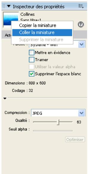 ADOBE DIRECTOR 11 - Création de miniatures d'acteurs personnalisées - 1