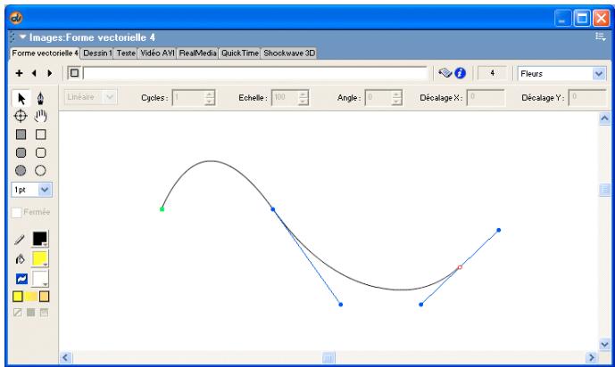 ADOBE DIRECTOR 11 - Créer une forme vectorielle avec l'outil Stylo - 1