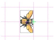 ADOBE DIRECTOR 11 - Afficher une grille et aligner les images-objets - 1