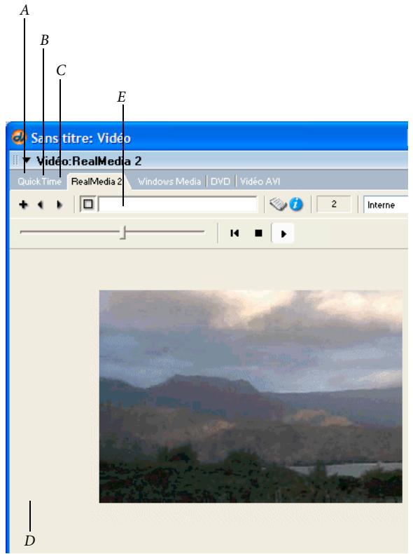 ADOBE DIRECTOR 11 - Fenêtre RealMedia - 1