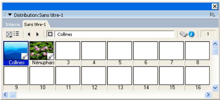 ADOBE DIRECTOR 11 - A propos des acteurs - 1