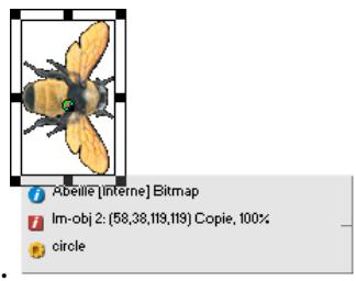 ADOBE DIRECTOR 11 - Modifier l'opacité du panneau Infos d'image-objet sur la scène - 1