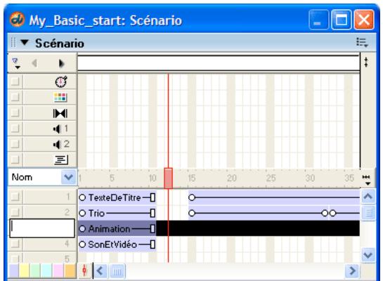 ADOBE DIRECTOR 11 - Affecter un nom à une piste d'image-objet - 1