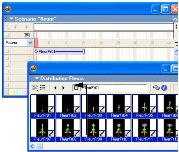ADOBE DIRECTOR 11 - Utilisation de la commande Distribution vers scénario - 1