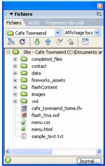 ADOBE DREAMWEAVER CS3 - Présentation du panneau Fichiers - 1
