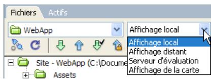 ADOBE DREAMWEAVER CS3 - Modification de l'affichage du site dans le panneau Fichiers (sites Dreamweaver uniquement) - 1