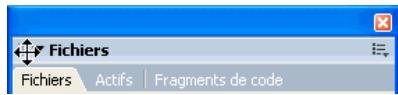 ADOBE DREAMWEAVER CS3 - Ancrage d'un groupe de panneaux à d'autres groupes de panneaux (espace de travail flottant) ou à la fenêtre intégrée (sous Windows uniquement): - 1