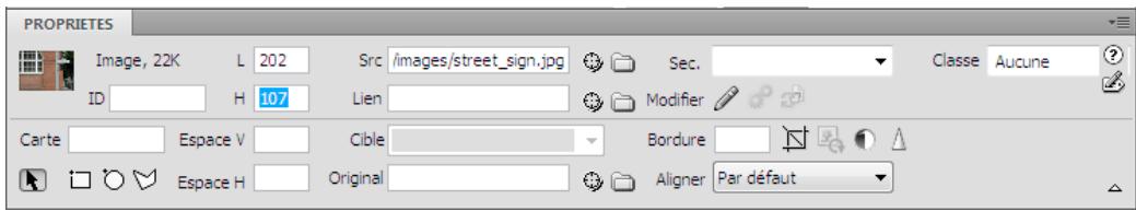 ADOBE DREAMWEAVER CS5 - Définition des propriétés de l'image - 1