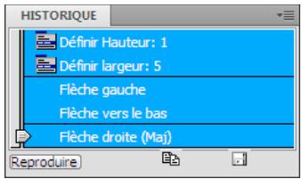 ADOBE DREAMWEAVER CS5 - Customer Service - 1