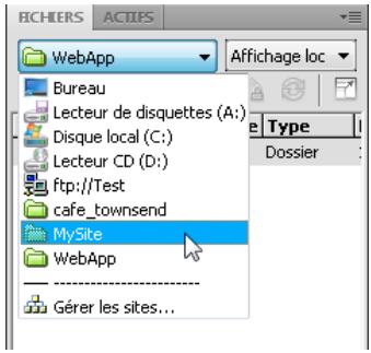 ADOBE DREAMWEAVER CS5 - Ouverture d'un site Dreamweaver existant - 1