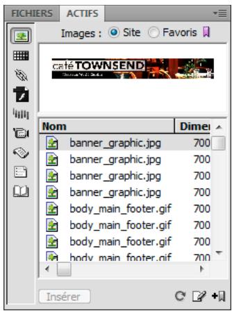 ADOBE DREAMWEAVER CS5 - Présentation du panneau Actifs - 1
